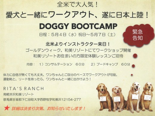 DOGGY　BOOTCAMP2